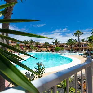 https://alicesbungalowpoolview.hotelsfuerteventura.org
